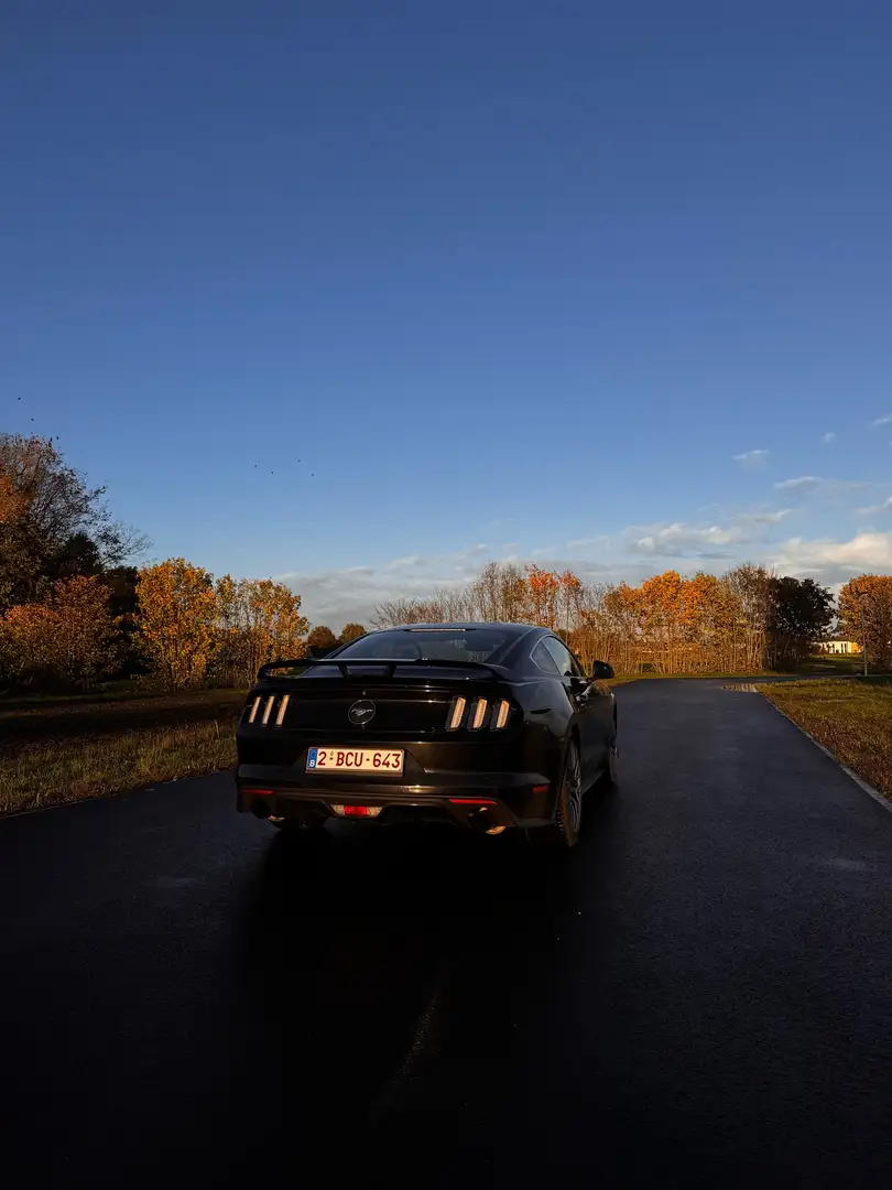Ford Mustang Mustang 2.3 Eco Boost Zwart - 2