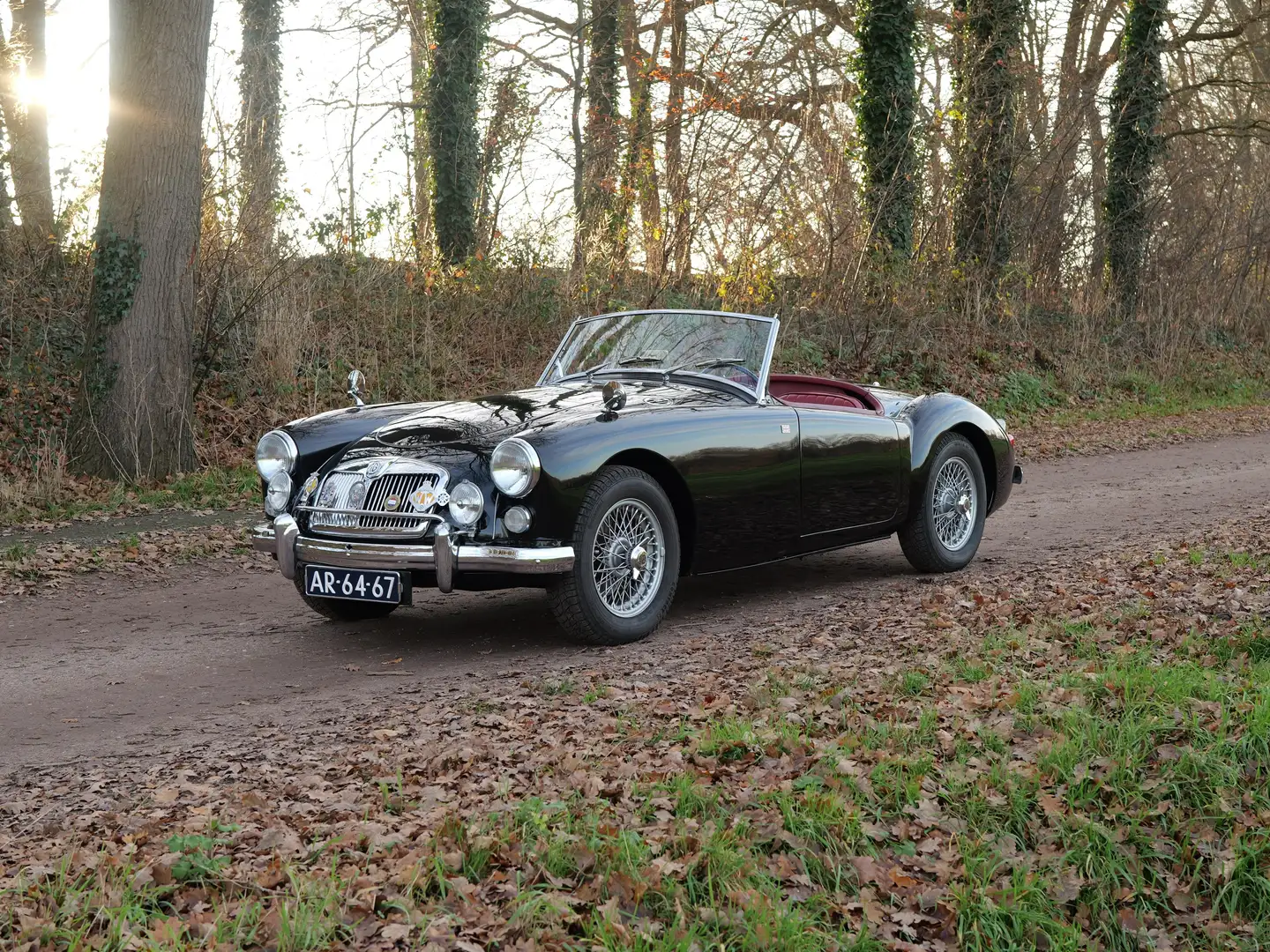 MG MGA 1600 Mark I Noir - 2