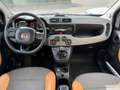 Fiat Panda 1.3 mjt 16v 4x4 75cv Orange - thumbnail 8
