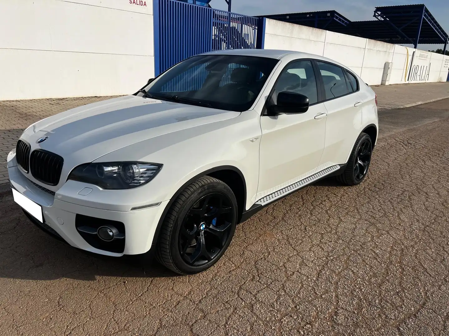 BMW X6 xDrive 35dA 1año garantia 156.000km - 1