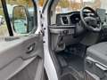 Ford Transit Van Trend 310L2 2.0 M6 FWD Weiß - thumbnail 30