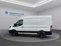 Ford Transit Van Trend 310L2 2.0 M6 FWD Weiß - thumbnail 4
