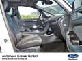 Ford S-Max ST-Line 2.5 FHEV Hybrid 7-Sitzer Automatik Fehér - thumbnail 10