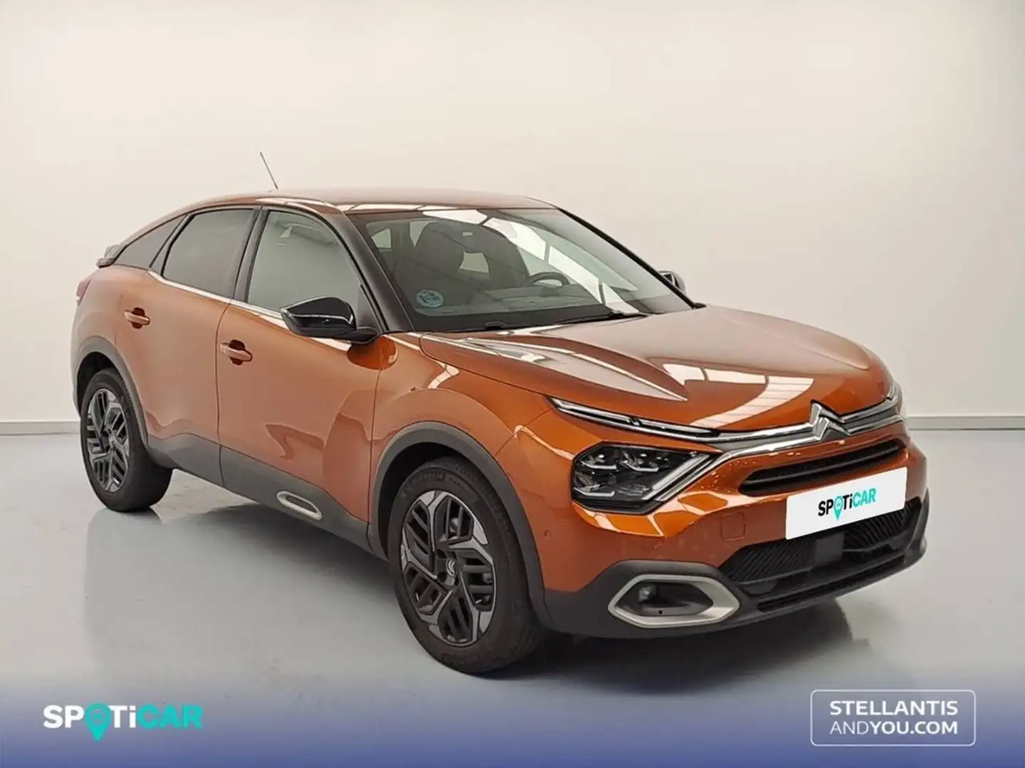 Citroen C4 1.5 BlueHDI S&S Shine EAT8 130 Marrone - 2