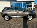 Opel Grandland X Edition Navi+LED+PDC Gris - thumbnail 11