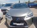 Lexus UX 250h 2.0 Business Gris - thumbnail 2