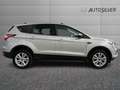 Ford Kuga 1.5 TDCI 120 CV S&S 2WD Business Zilver - thumbnail 5