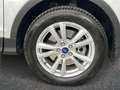 Ford Kuga 1.5 TDCI 120 CV S&S 2WD Business Zilver - thumbnail 7