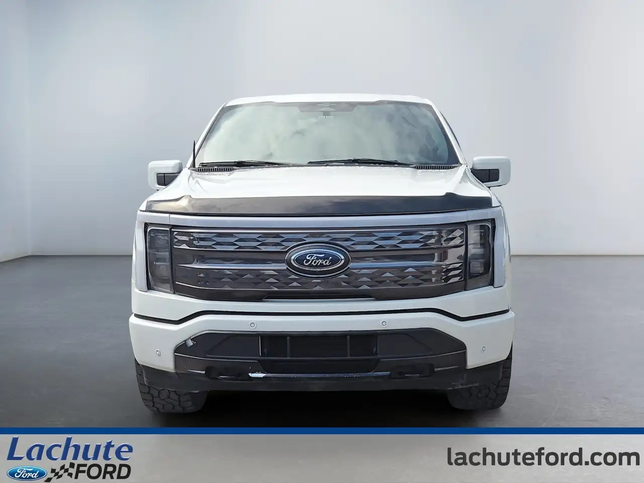 Ford F 150 Lightning photo Ford F 150 Lightning
