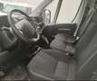 Fiat Ducato 335 2.2 BlueHDi 140CV S&S L3H2 FRIGO ZANOTTI 0°C White - thumbnail 6