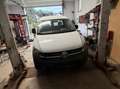 Volkswagen Caddy Caddy 4Motion 2,0 TDI mit AHK Weiß - thumbnail 3
