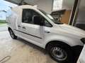 Volkswagen Caddy Caddy 4Motion 2,0 TDI mit AHK Weiß - thumbnail 1