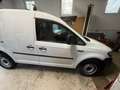 Volkswagen Caddy Caddy 4Motion 2,0 TDI mit AHK Weiß - thumbnail 2