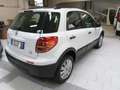 Fiat Sedici 2.0 MJT Dynamic 6M 4X4 Blanco - thumbnail 12