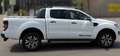 Ford Ranger Ranger Doppelkabine Wildtrak 4x4 2,0 EcoBlue Wildtrak Weiß - thumbnail 7