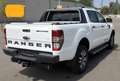 Ford Ranger Ranger Doppelkabine Wildtrak 4x4 2,0 EcoBlue Wildtrak Weiß - thumbnail 6