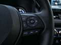 Toyota RAV 4 2.5 Hybrid 360 Grad, TWW ACC LEDER LED Rot - thumbnail 21