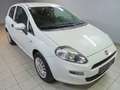 Fiat Punto Pop Fehér - thumbnail 2