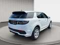 Land Rover Discovery Sport AWD R-Dynamic Pano/Leder/E-Sitze Blanc - thumbnail 3