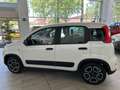 Fiat Panda DA 159€ TRA 6 MESI! White - thumbnail 3