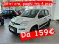 Fiat Panda DA 159€ TRA 6 MESI! Biały - thumbnail 1