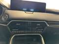Mazda CX-80 3.3L e-SKYACTIV D 254ps 8AT AWD Homura Plus Homura Braun - thumbnail 8