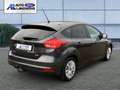 Ford Focus Business AHK Navi Apple CarPlay Android Auto Mehrz Grigio - thumbnail 6