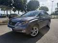 Lexus Sonstige III 450h 4WD Pack Président Grau - thumbnail 1