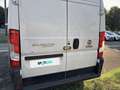 Fiat Maxi MAXI 35 MH2 2.2 Mjt3 140CV E6D-fin Weiß - thumbnail 4