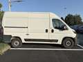 Fiat Maxi MAXI 35 MH2 2.2 Mjt3 140CV E6D-fin Weiß - thumbnail 2