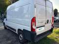 Fiat Maxi MAXI 35 MH2 2.2 Mjt3 140CV E6D-fin Weiß - thumbnail 3