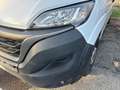 Fiat Maxi MAXI 35 MH2 2.2 Mjt3 140CV E6D-fin Weiß - thumbnail 20
