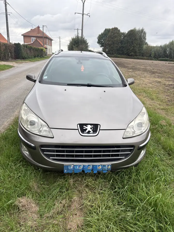 Peugeot 407
