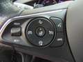 Opel Insignia B 2.0 Lenk+Sitzhzg,AGR,Navi,Kamera,PDC Rot - thumbnail 19