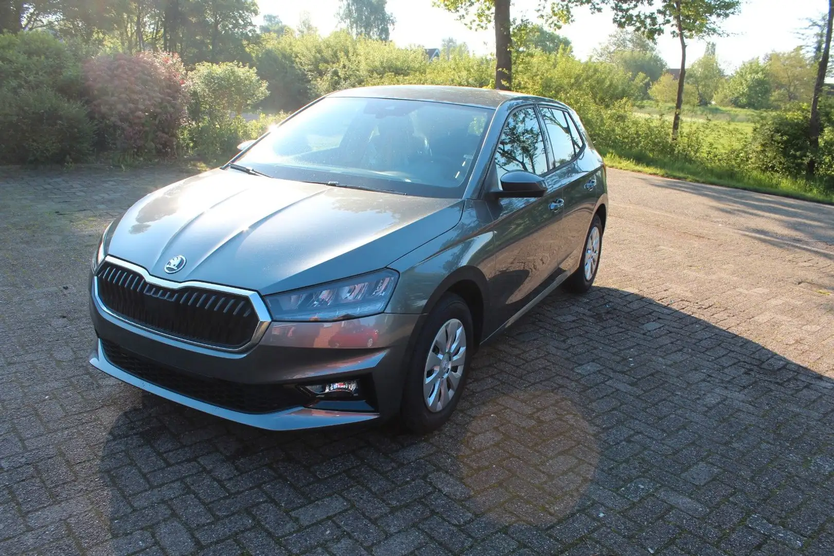 Skoda Fabia 1.0l TSI 70kW AMBITION Grau - 1