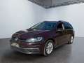 Volkswagen Golf Variant Golf VII Variant Comfortline 1.4 TSI Sitzheizung Mauve - thumbnail 2
