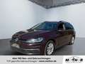Volkswagen Golf Variant Golf VII Variant Comfortline 1.4 TSI Sitzheizung Mauve - thumbnail 1