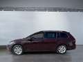 Volkswagen Golf Variant Golf VII Variant Comfortline 1.4 TSI Sitzheizung Mauve - thumbnail 3