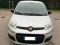 Fiat Panda 1.2 Gpl - NEOPATENTATI - 12 MESI DI GARANZIA - Argento - thumbnail 1