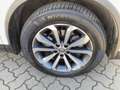 Renault Koleos 2.0 BLUE dCi 190 Limited 4WD*KAMERA*KLIMA Blanc - thumbnail 7