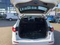 Renault Koleos 2.0 BLUE dCi 190 Limited 4WD*KAMERA*KLIMA Blanc - thumbnail 13