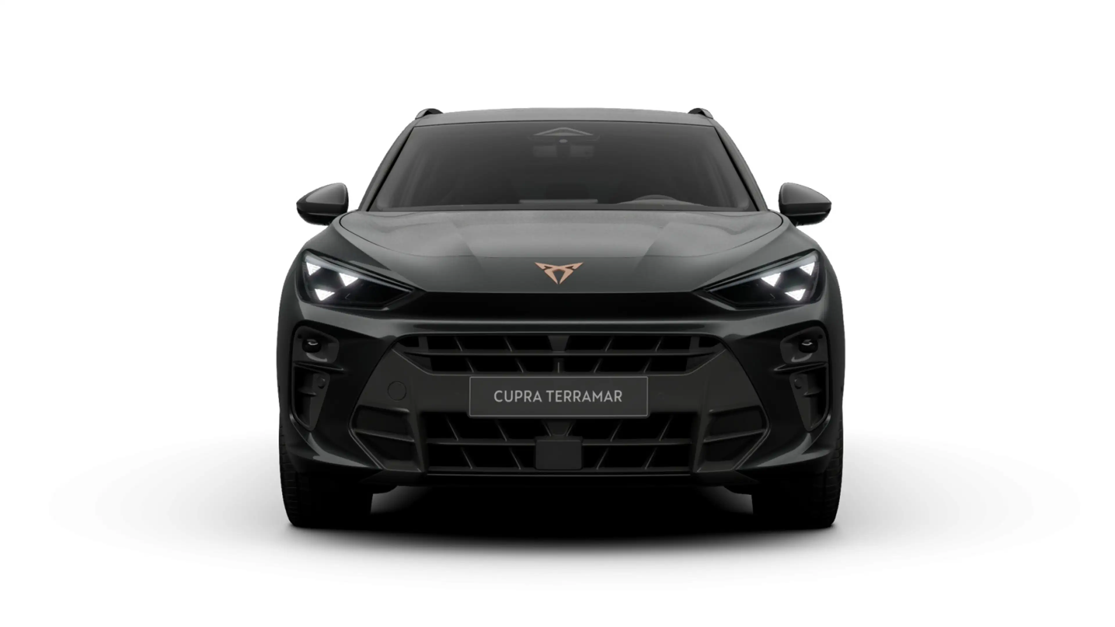 CUPRA Terramar 2.0 TSI MATRIX SENNHEISER eSITZE HuD — photo 3