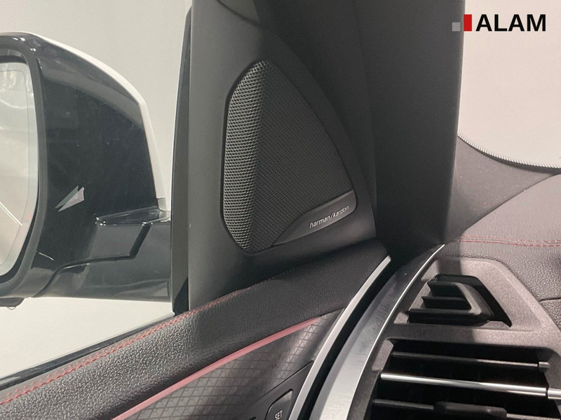BMW X4 xDrive 30 d M Sport ACC AHK HUD H&K Pano 360° — photo 15