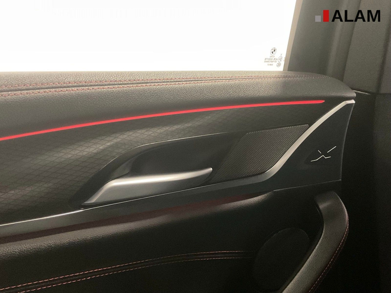 BMW X4 xDrive 30 d M Sport ACC AHK HUD H&K Pano 360° — photo 14