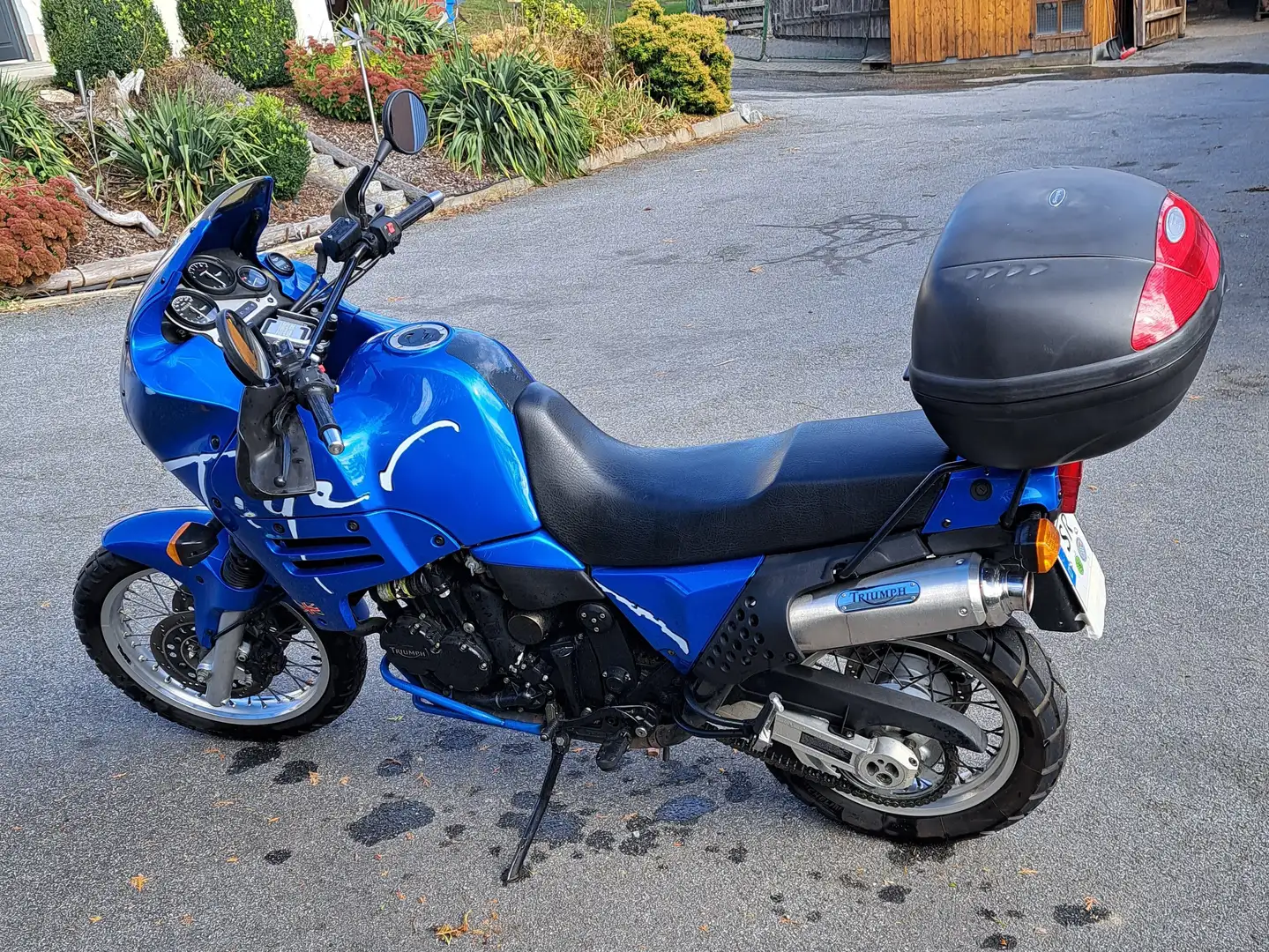 Triumph Tiger 900 Bleu - 2