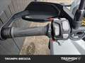 Triumph Tiger 1200 GT Pro Abs Blanc - thumbnail 9