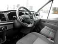 Ford Transit Transit Kasten DoKa 2,0 EcoBlue L3H2 350 Trend Weiß - thumbnail 5