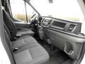Ford Transit Transit Kasten DoKa 2,0 EcoBlue L3H2 350 Trend Weiß - thumbnail 10