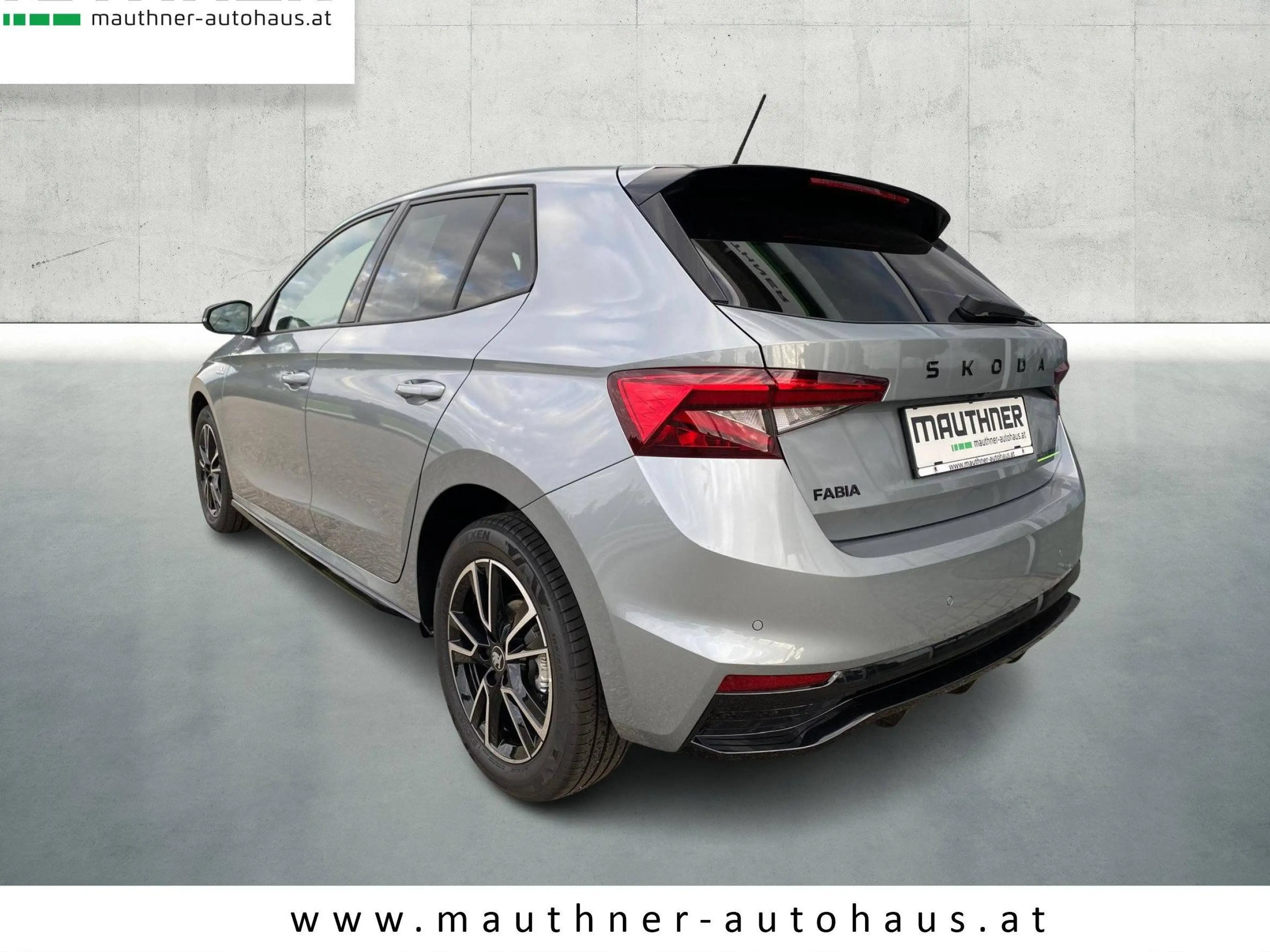 Skoda Fabia Monte Carlo — photo 2