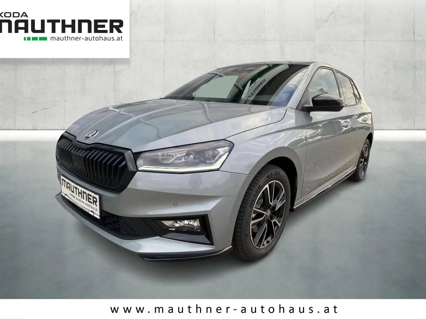 Skoda Fabia Monte Carlo Silber - 1